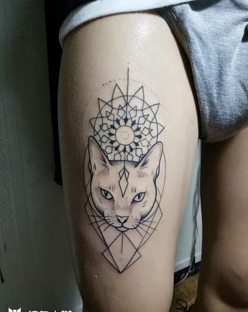 猫咪纹身图片