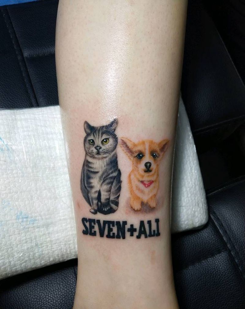 猫狗成情侣了纹身图片