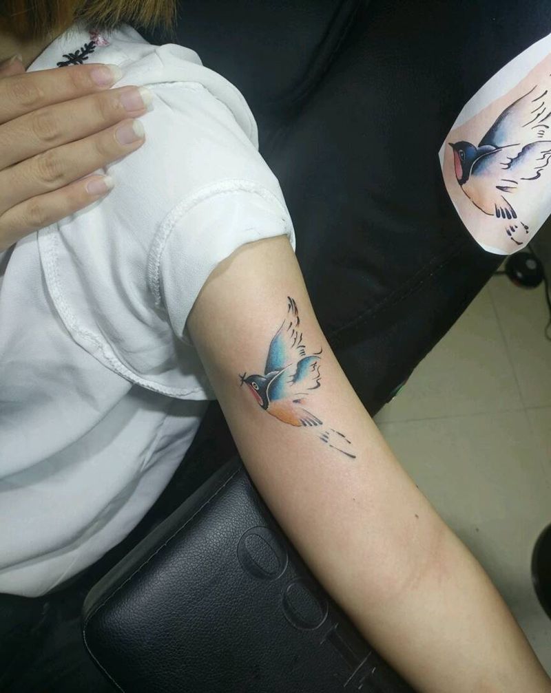 飞燕纹身图片_手臂清新动物成品纹身图案