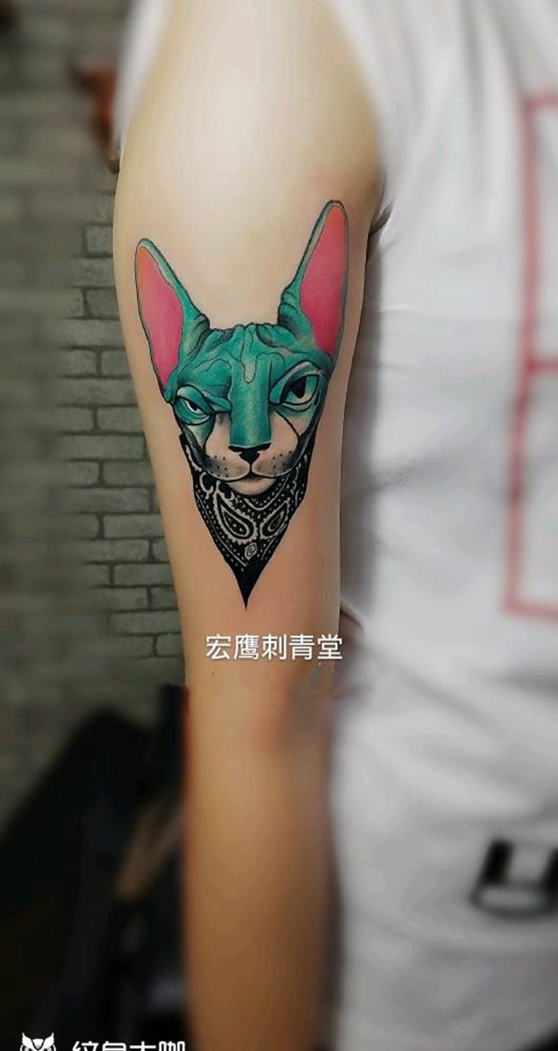 猫王纹身图片_手臂手部New School纹身图案