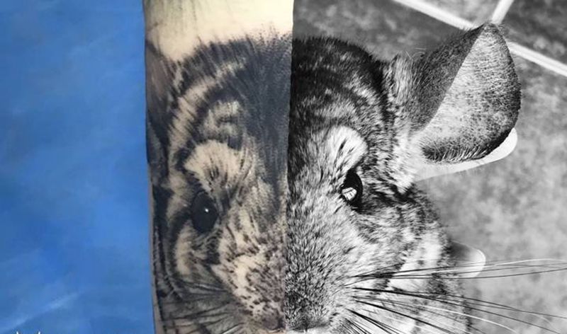 写实龙猫纹身图片_成品手部写实动物纹身图案