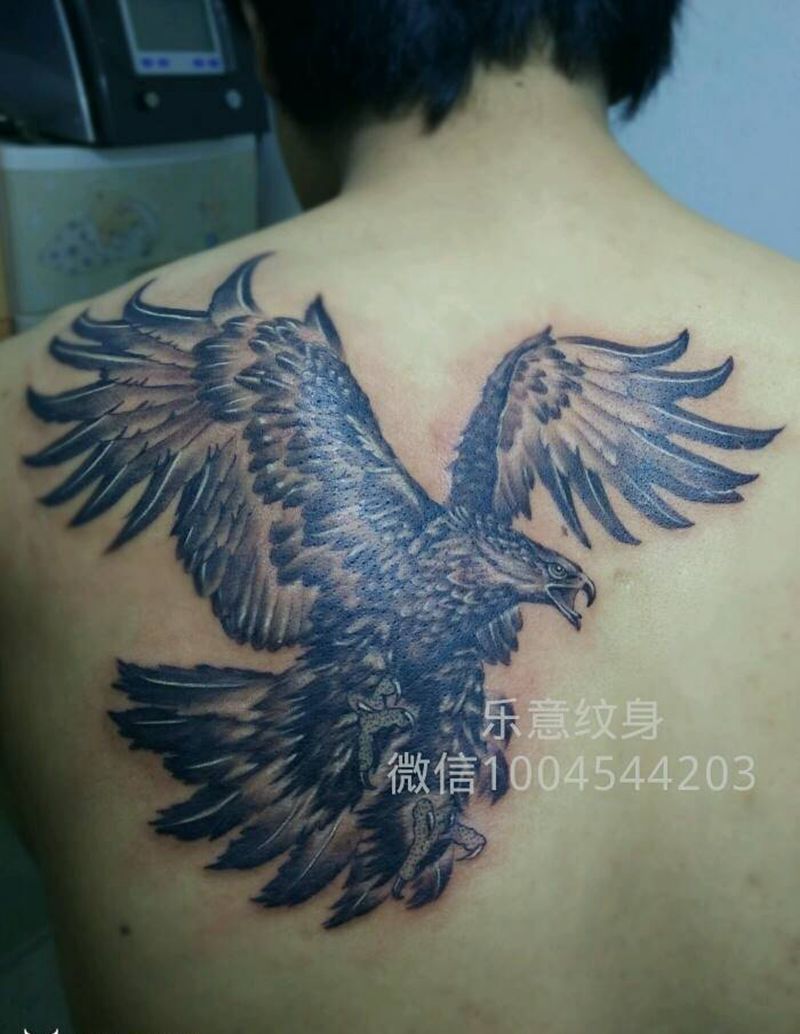 雄鹰纹身图片_背部传统国画动物纹身图案