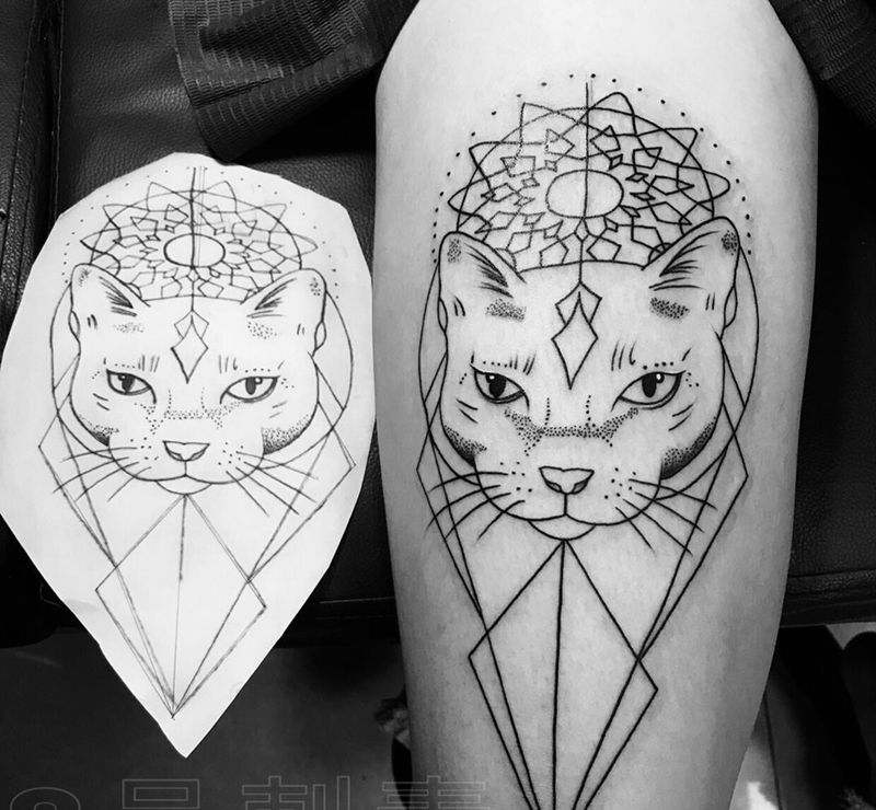 猫咪纹身图片