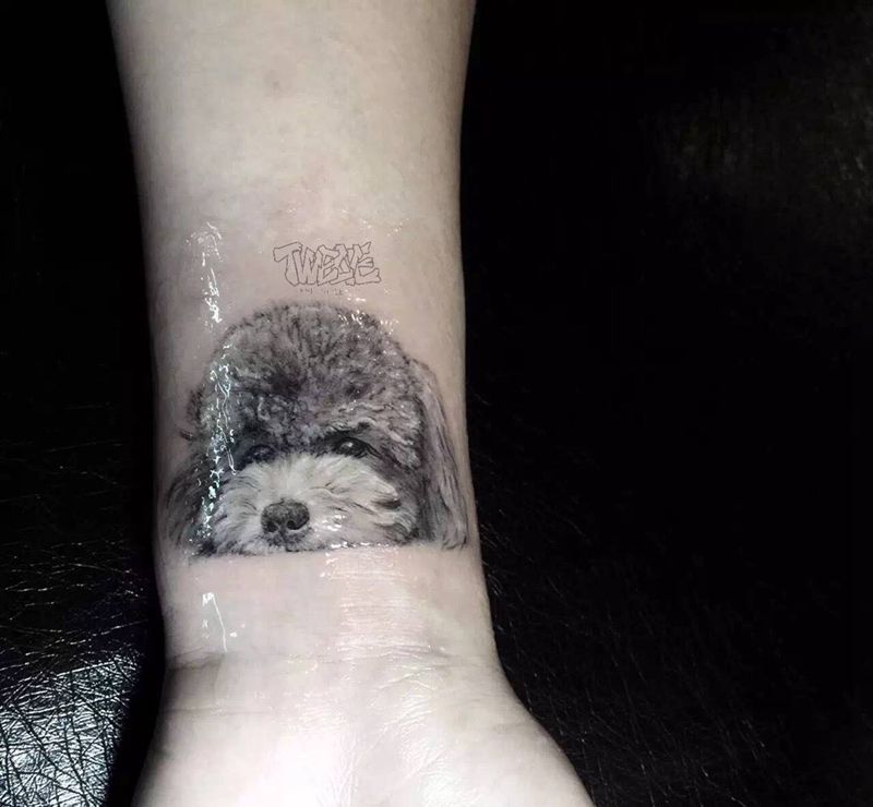 客人的宠物纹身图片_写实成品手部动物纹身图案