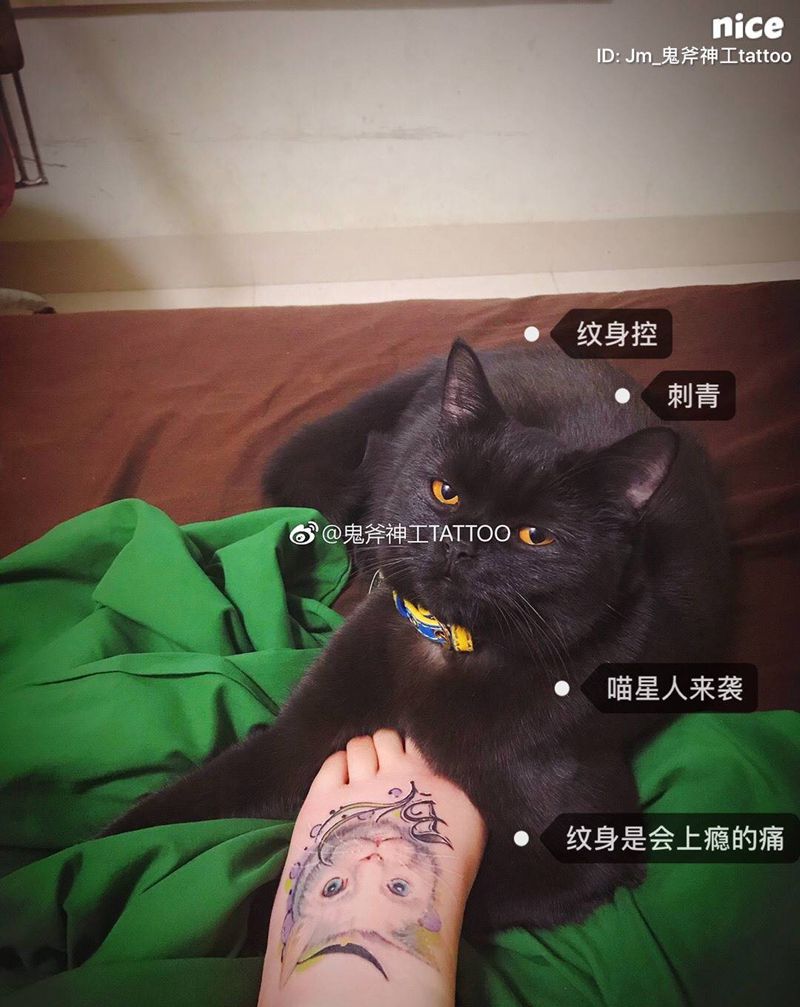 猫纹身图片_脚部写实动物成品纹身图案