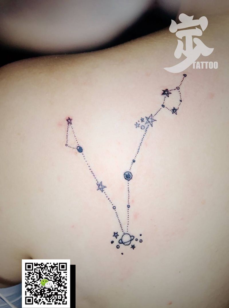 双鱼座纹身图片_手稿背部清新几何纹身图案