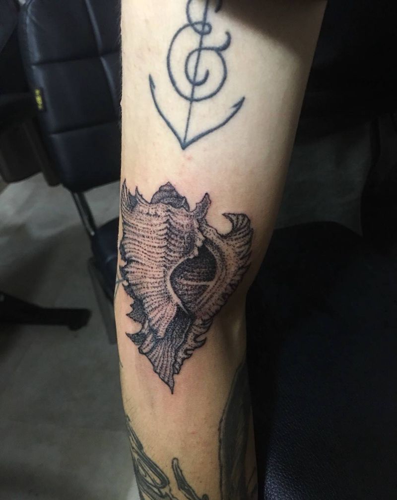 贝壳纹身图片_手臂点刺纹身图案