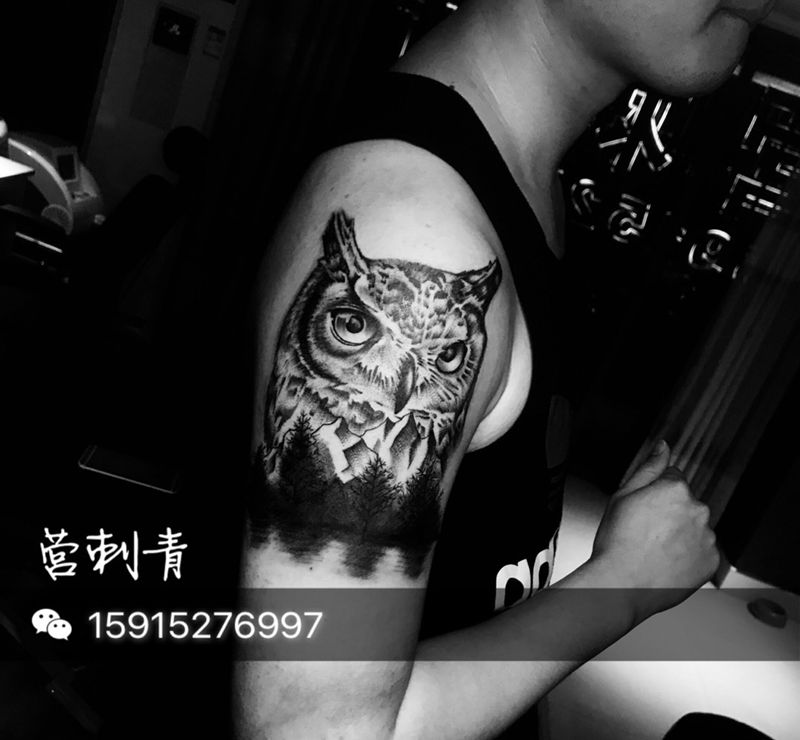 猫头鹰遮盖旧纹身纹身图片