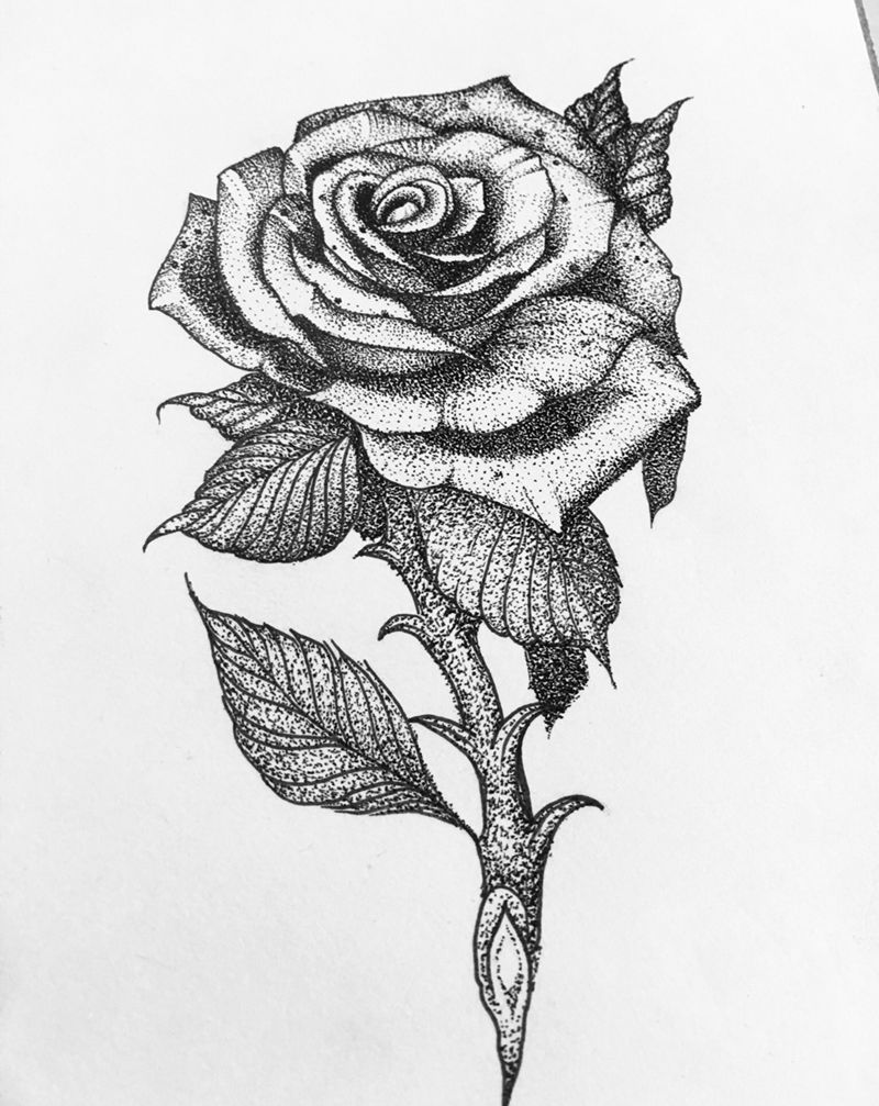 玫瑰纹身图片