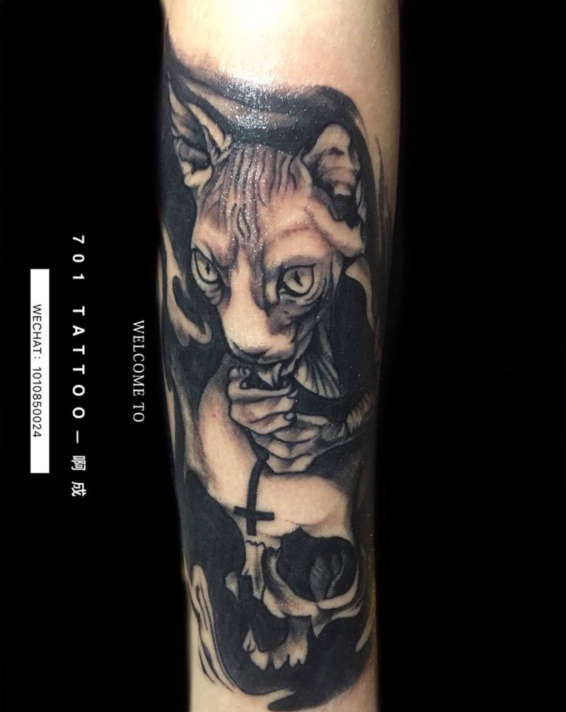 无毛猫纹身图片