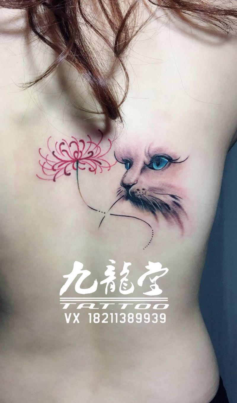 猫盖胎记纹身图片
