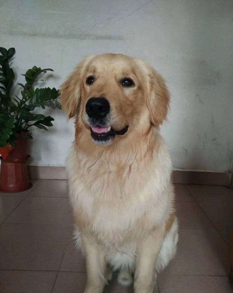 手稿定制到完成纹身图片