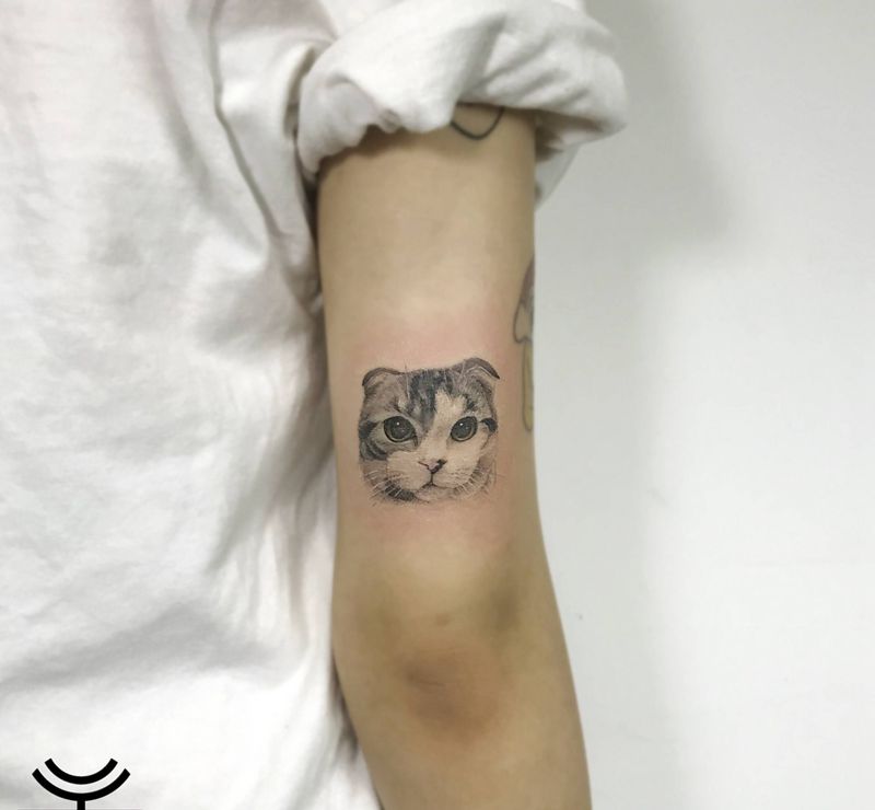 猫咪阿呆纹身图片_手臂欧美写实猫写实纹身图案