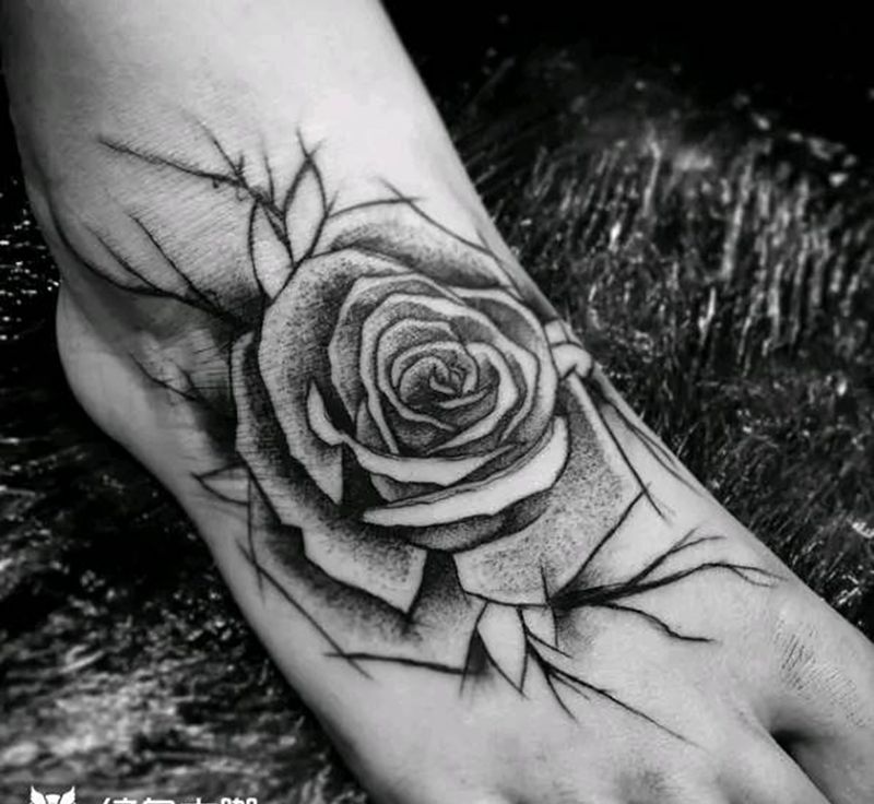 点刺玫瑰。纹身图片