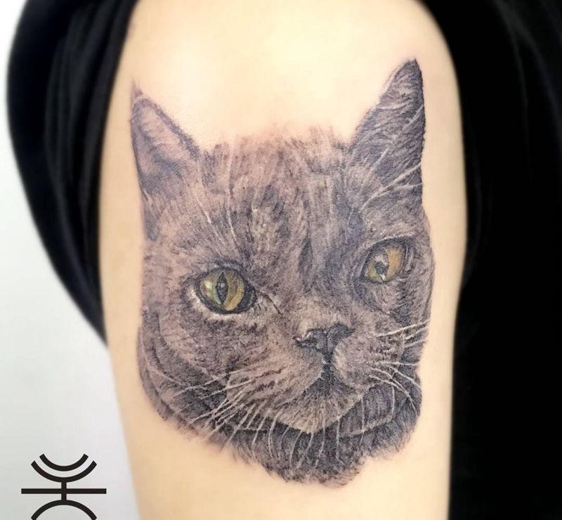 貓咪纹身图片