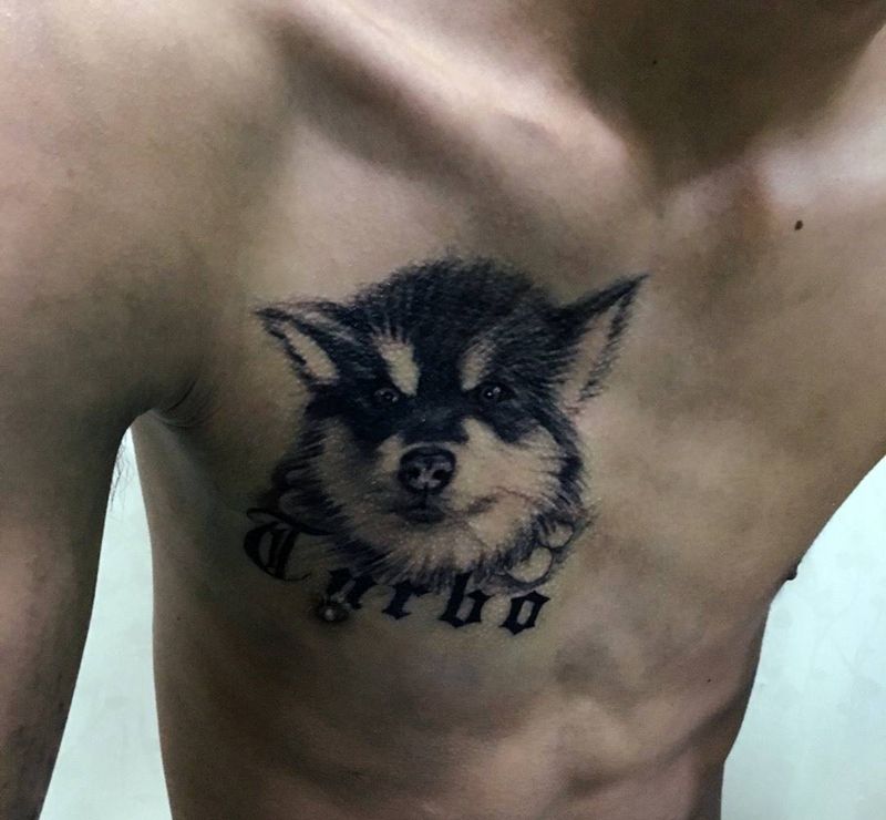 阿拉斯加犬纹身图片