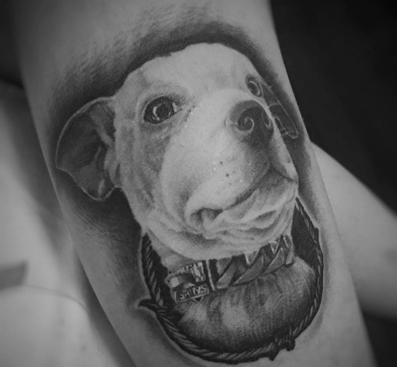 小狗恢复之后纹身图片