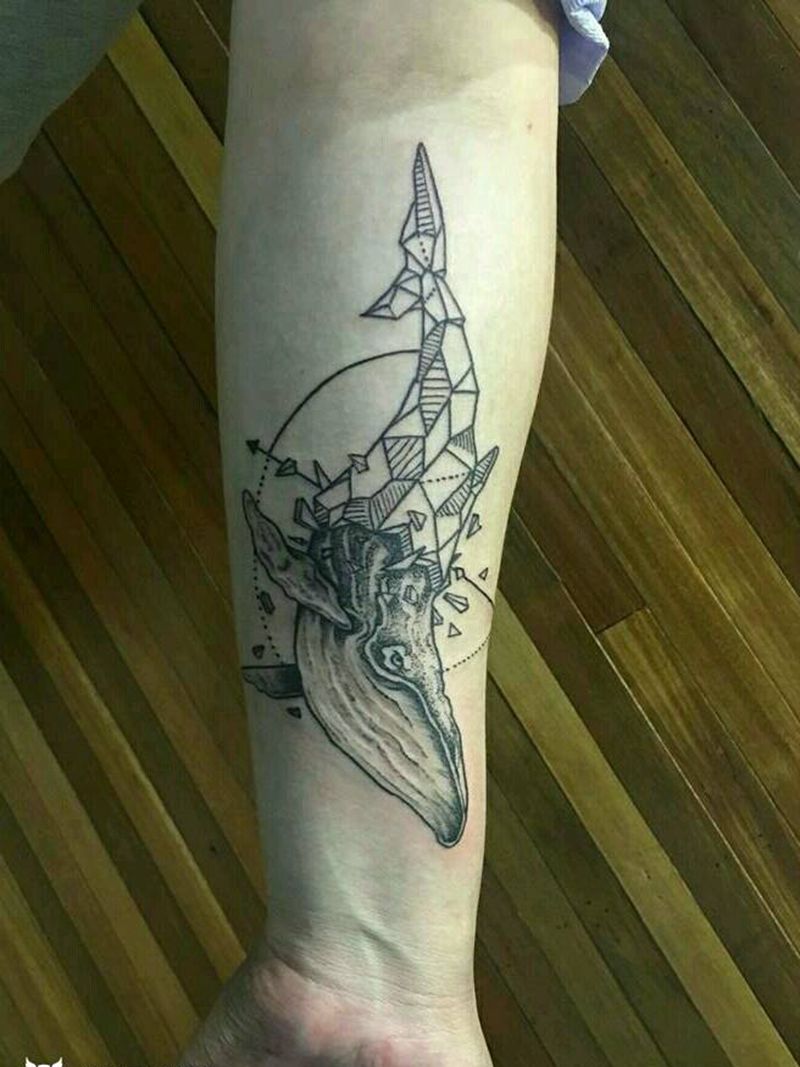 几何鲸鱼。纹身图片