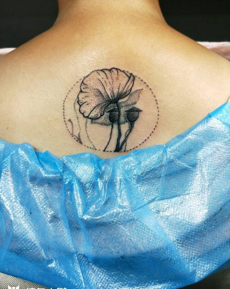 点刺罂粟花。纹身图片