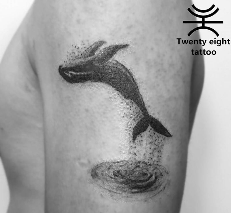 海豚纹身图片
