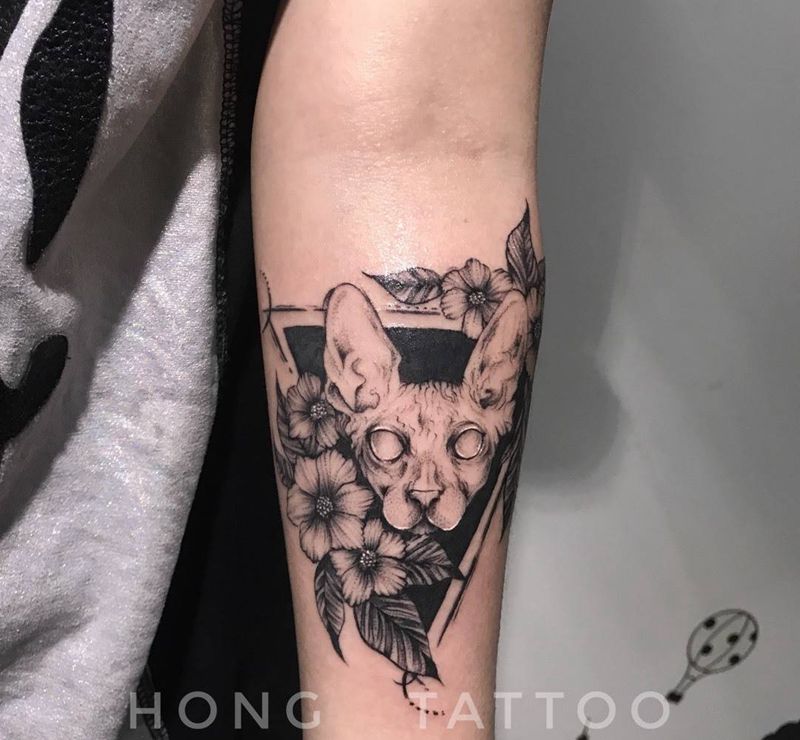 斯芬克斯猫纹身图片