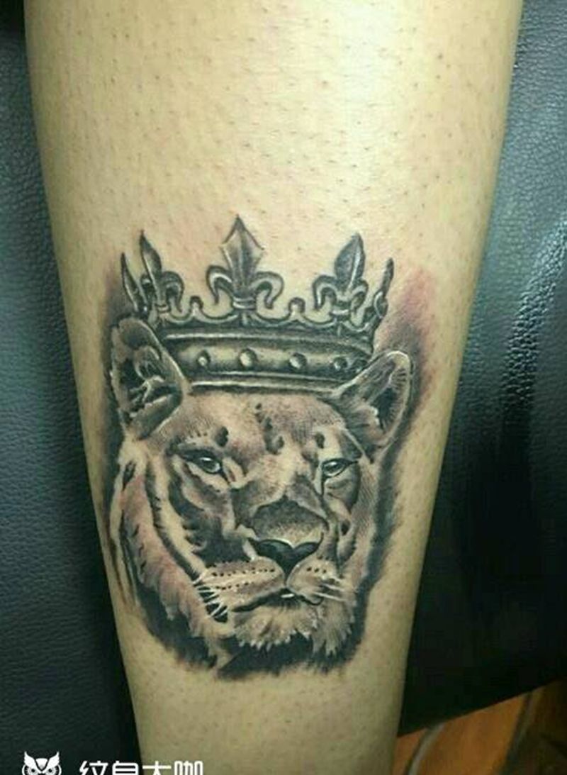 狮子。纹身图片