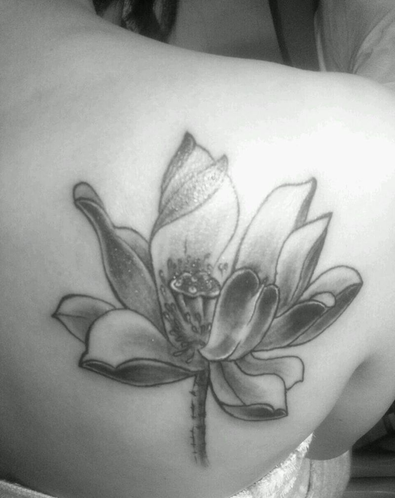 莲花。纹身图片