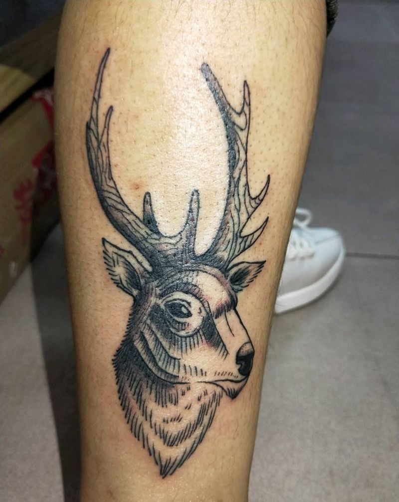 线条鹿。纹身图片