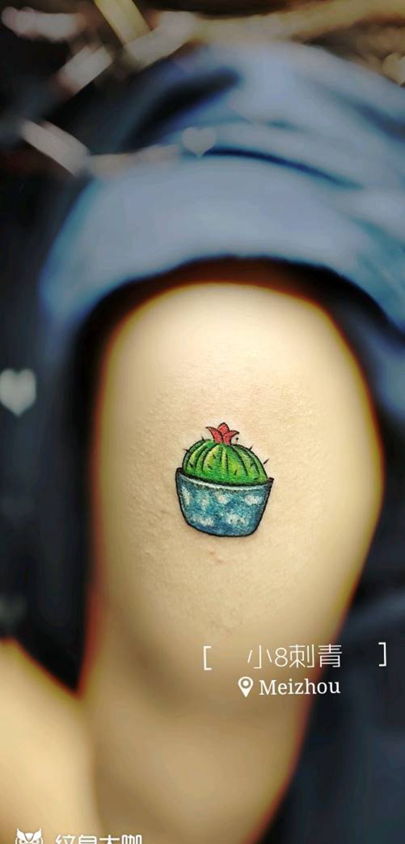 仙人掌纹身图片_手臂水彩纹身图案