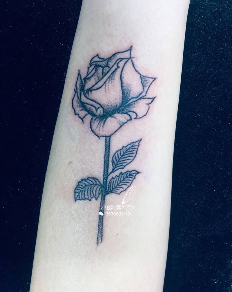 玫瑰纹身图片