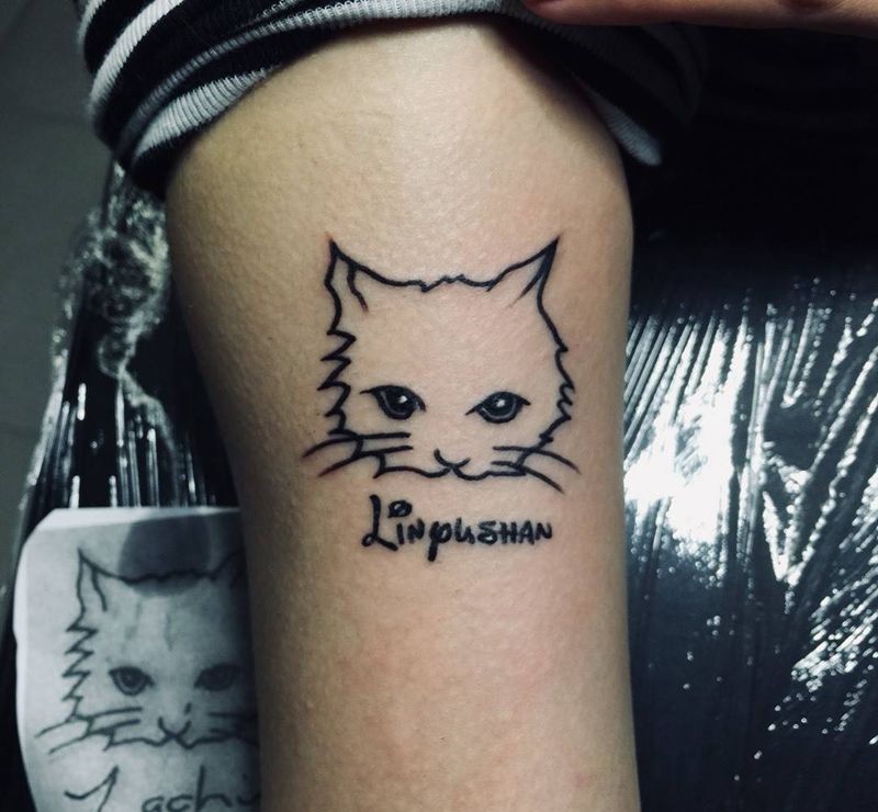 猫纹身图片