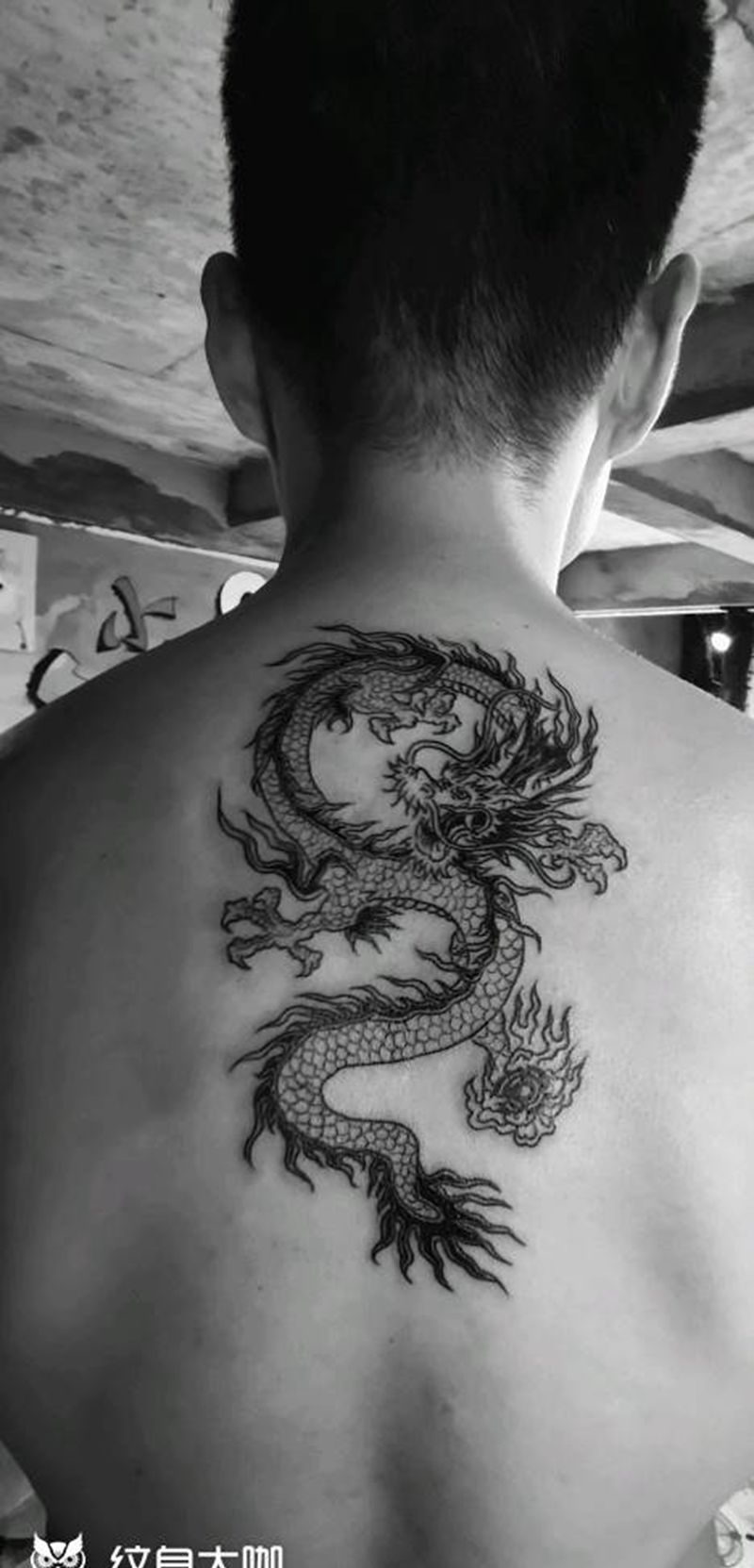 龙纹身图片_背部龙纹身图案