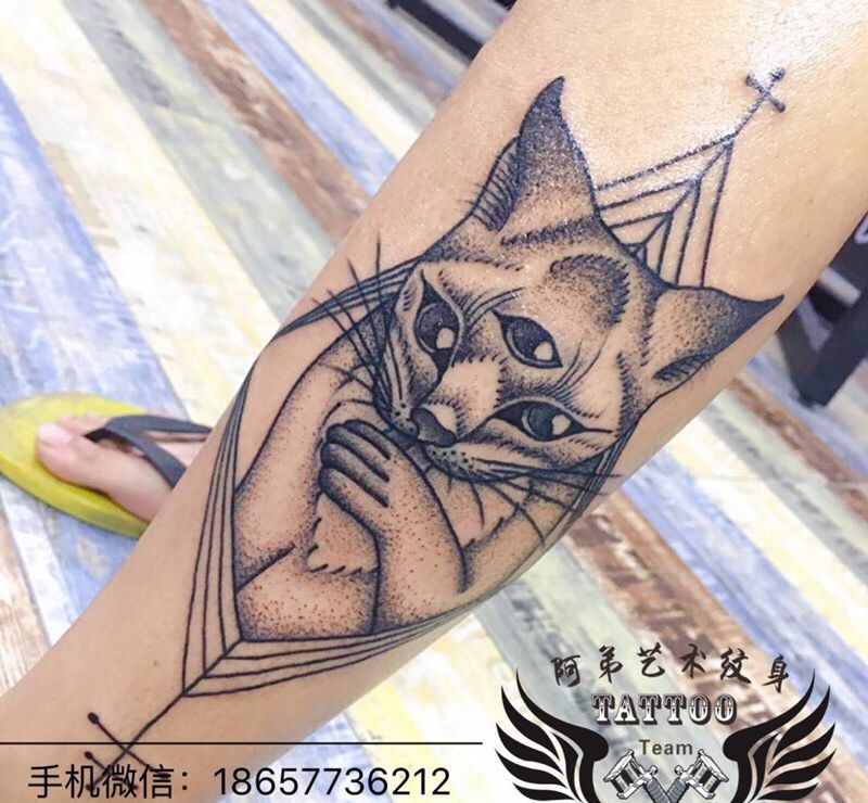 猫纹身图片
