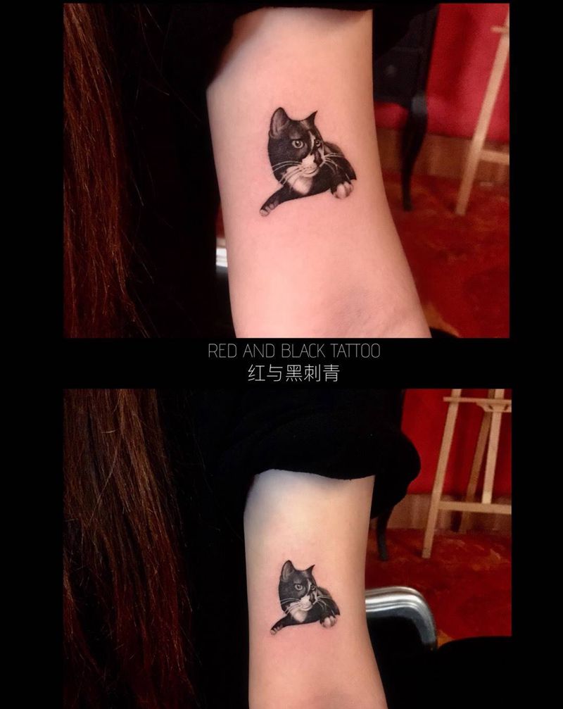 猫咪纹身图片