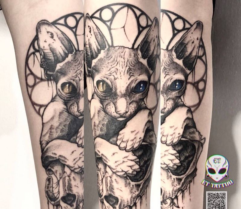 无毛猫纹身图片