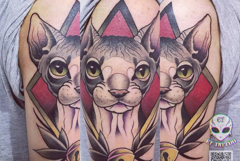 无毛猫纹身图片