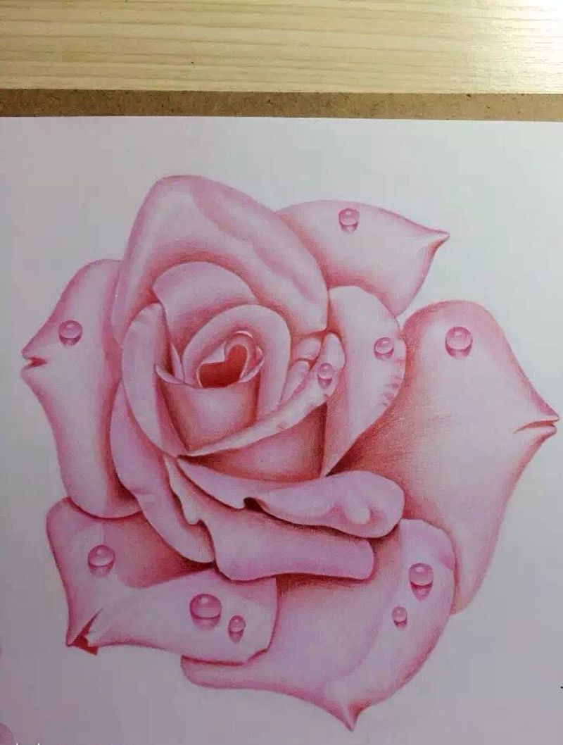 手绘玫瑰花纹身图片