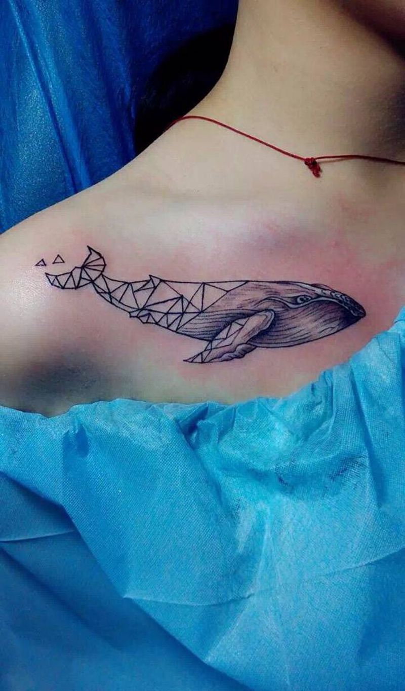 海豚纹身图片