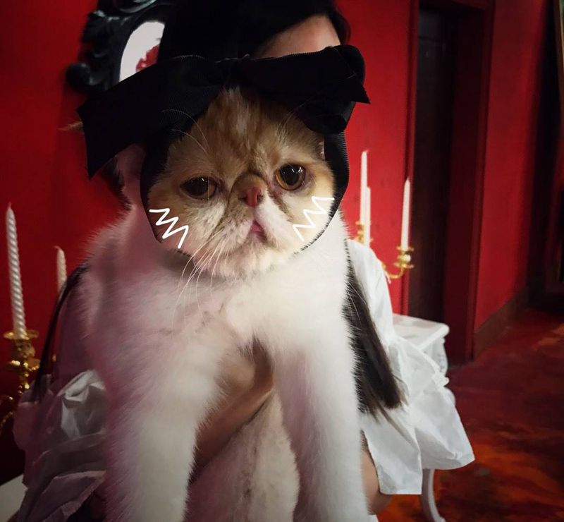 纹身助理-啊喵纹身图片