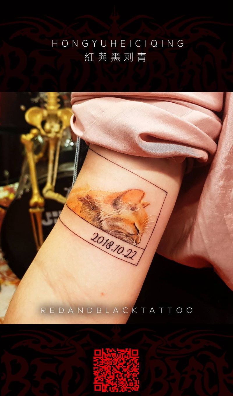 喵喵喵纹身图片