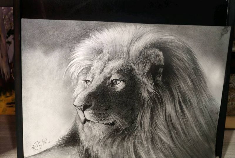 手绘狮子纹身图片_胸部欧美写实纹身图案