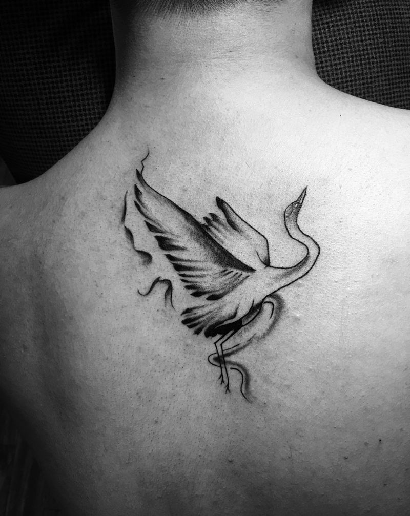 鹤纹身图片