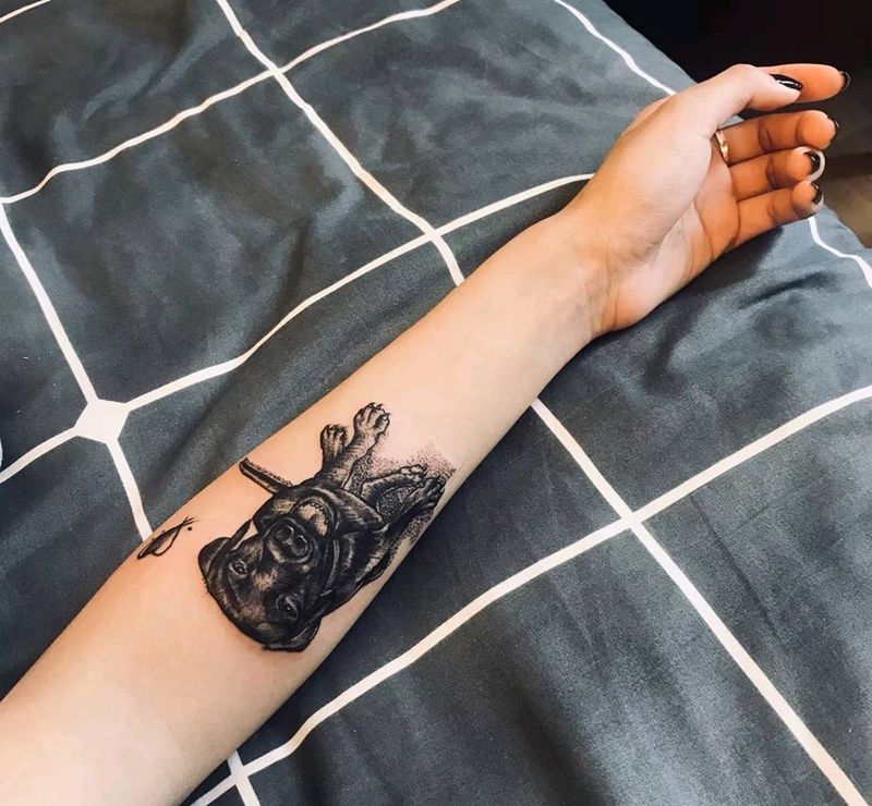 自家宠物买家秀纹身图片