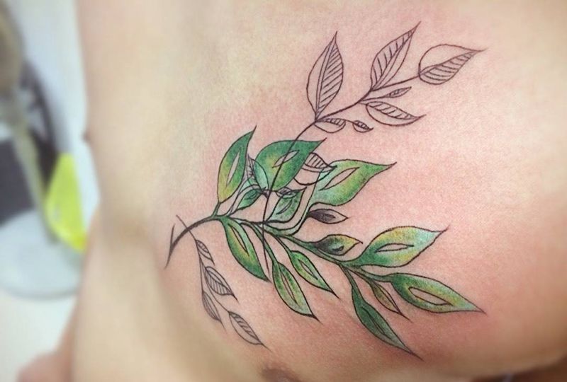 树枝纹身图片_成品胸部清新植物纹身图案