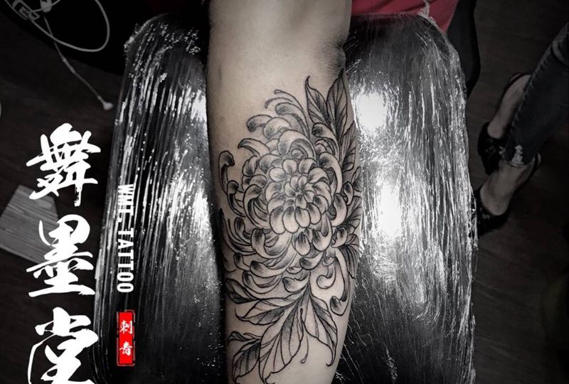 富贵菊纹身图片