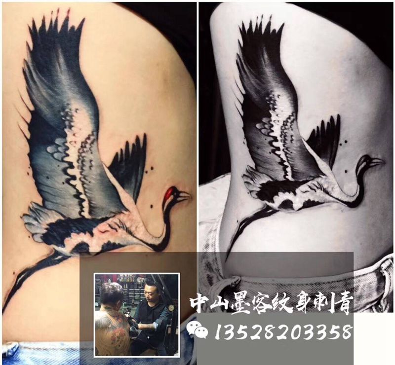鹤纹身图片