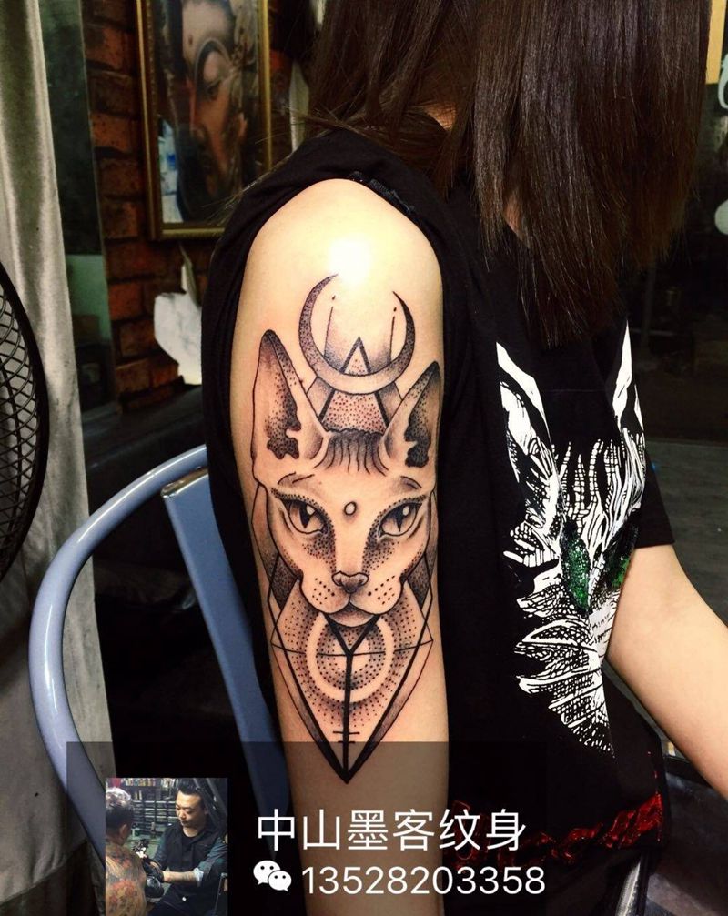 点刺猫纹身图片