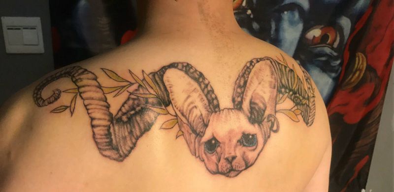 长角的猫纹身图片