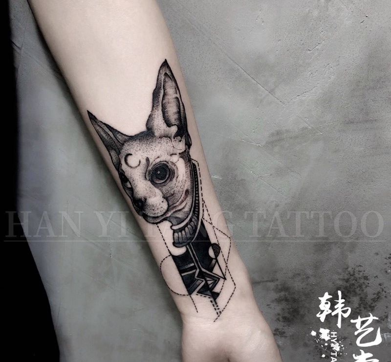 无毛猫纹身图片