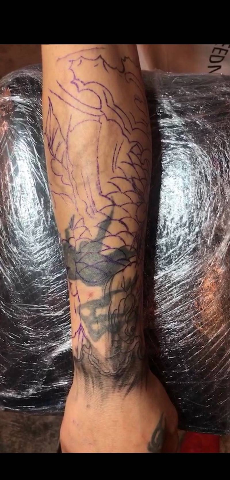 鲤鱼遮盖旧图旧疤纹身图片